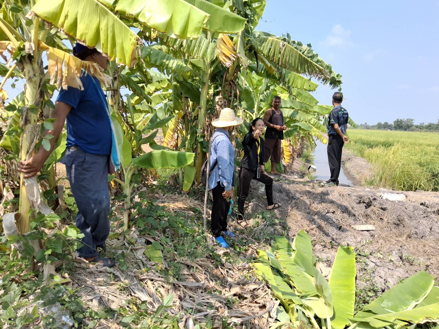 title - ส.ป.ก.นครปฐม ลงพื้นที่ให้บริการกับเกษตรกรในเขตปฏิรูปที่ดินเกี่ยวกับการ เจรจาข้อพิพาทและแก้ไขปัญหาที่ดินตาบอด